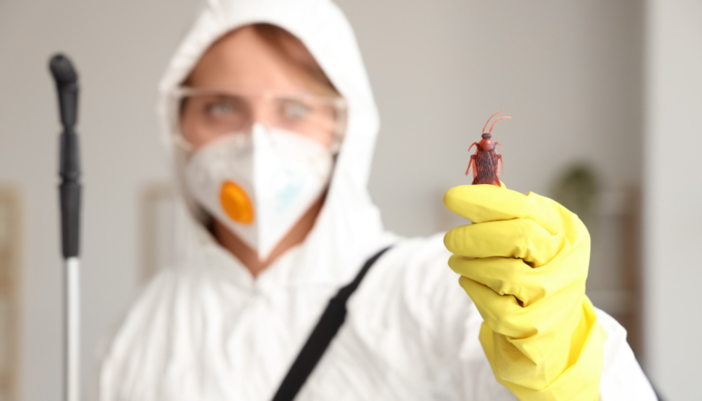 Est-ce qu’il existe un exterminateur de cafard à Marseille ? Oui, il s'agit de Eco Hygiène 3D !